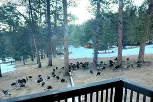 986 Apache Rd, Florissant, CO 80816 - Photo 47