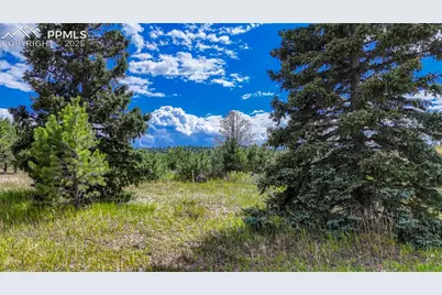 1129 Will Scarlet Drive, Divide, CO 80814 - Photo 9