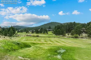 1350 Longs Point, Woodland Park, CO 80863 - Photo 45