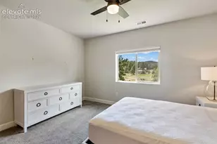1350 Longs Point, Woodland Park, CO 80863 - Photo 47