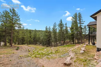 934 Pinewood Road, Florissant, CO 80816 - Photo 49