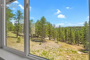 934 Pinewood Rd, Florissant, CO 80816 - Photo 21