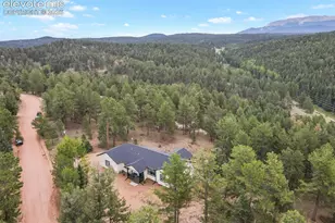 934 Pinewood Rd, Florissant, CO 80816 - Photo 39