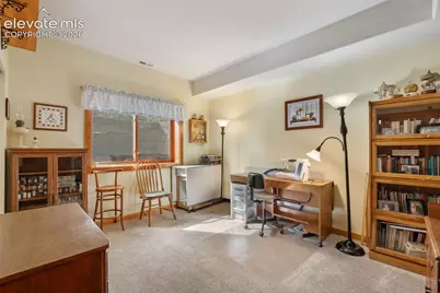 567 County Road 31, Florissant, CO 80816 - Photo 35