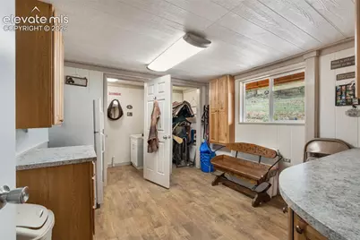 567 County Road 31, Florissant, CO 80816 - Photo 43