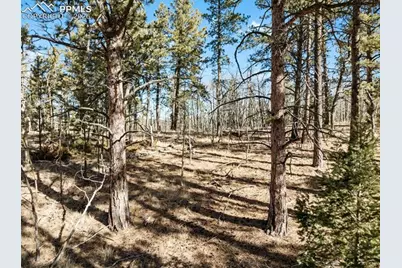 Lot 20 Echo Lake Drive, Lake George, CO 80827 - Photo 9