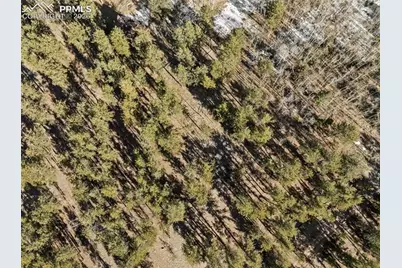 Lot 20 Echo Lake Drive, Lake George, CO 80827 - Photo 15