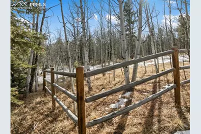 Lot 20 Echo Lake Drive, Lake George, CO 80827 - Photo 5