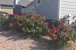 1491 Grand Overlook St, Colorado Springs, CO 80910 - Photo 21