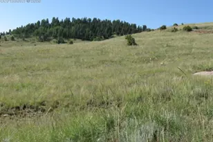 Lots 3-4 Shideler Ave, Cripple Creek, CO 80813 - Photo 1