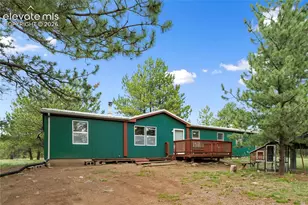 1395 Doe Valley Rd, Guffey, CO 80820 - Photo 1