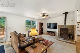 1395 Doe Valley Rd, Guffey, CO 80820 - Photo 11