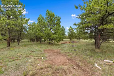 1395 Doe Valley Road, Guffey, CO 80820 - Photo 43