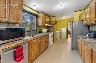 1395 Doe Valley Rd, Guffey, CO 80820 - Photo 19