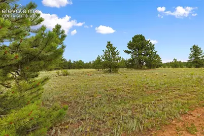 1395 Doe Valley Road, Guffey, CO 80820 - Photo 9