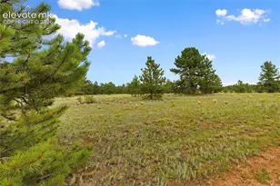 1395 Doe Valley Rd, Guffey, CO 80820 - Photo 9