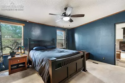 1395 Doe Valley Road, Guffey, CO 80820 - Photo 25