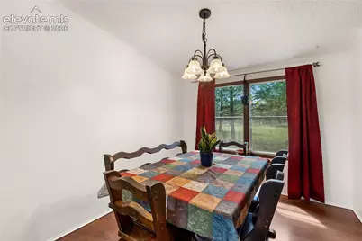 1395 Doe Valley Road, Guffey, CO 80820 - Photo 21