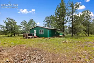 1395 Doe Valley Rd, Guffey, CO 80820 - Photo 5