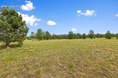1395 Doe Valley Road, Guffey, CO 80820 - Photo 7