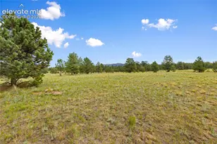 1395 Doe Valley Rd, Guffey, CO 80820 - Photo 7