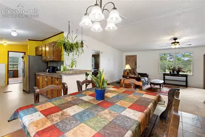 1395 Doe Valley Road, Guffey, CO 80820 - Photo 17