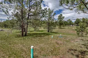 330 Arrowhead Dr, Florissant, CO 80816 - Photo 37