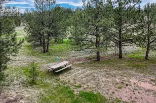 330 Arrowhead Dr, Florissant, CO 80816 - Photo 17