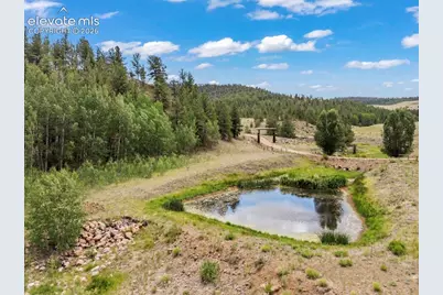 2416 Aspen Meadows Lane, Guffey, CO 80820 - Photo 47
