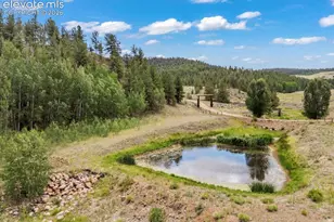 2416 Aspen Meadows Ln, Guffey, CO 80820 - Photo 47