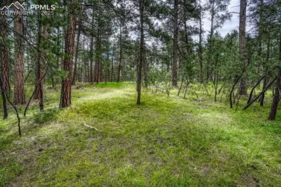 00 Club Drive, Colorado Springs, CO 80908 - Photo 25