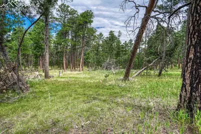 00 Club Drive, Colorado Springs, CO 80908 - Photo 37