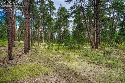 00 Club Drive, Colorado Springs, CO 80908 - Photo 29