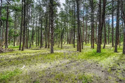 00 Club Drive, Colorado Springs, CO 80908 - Photo 31