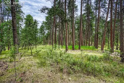 00 Club Drive, Colorado Springs, CO 80908 - Photo 27