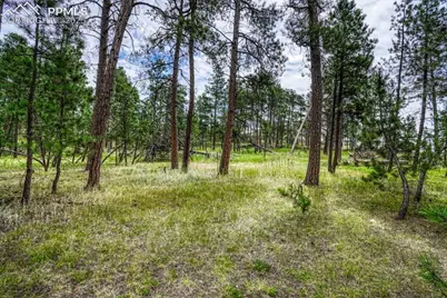 00 Club Drive, Colorado Springs, CO 80908 - Photo 35
