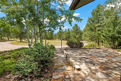 580 Mills Ranch Road, Woodland Park, CO 80863 - Photo 43