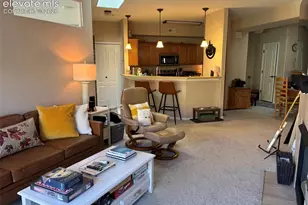 2055 Montura View, Colorado Springs, CO 80919 - Photo 15