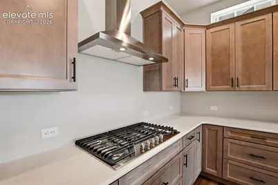 8225 Willey Picket Drive, Colorado Springs, CO 80908 - Photo 11