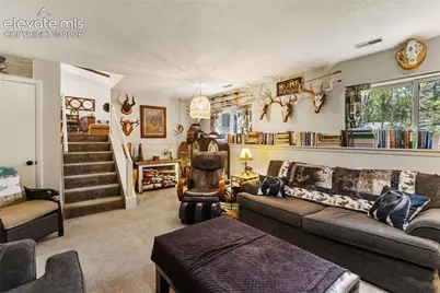 702 Sunnywood Loop, Woodland Park, CO 80863 - Photo 23