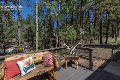 702 Sunnywood Loop, Woodland Park, CO 80863 - Photo 37