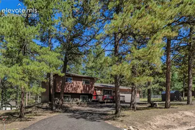 702 Sunnywood Loop, Woodland Park, CO 80863 - Photo 3