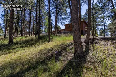702 Sunnywood Loop, Woodland Park, CO 80863 - Photo 5