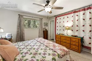 702 Sunnywood Loop, Woodland Park, CO 80863 - Photo 29