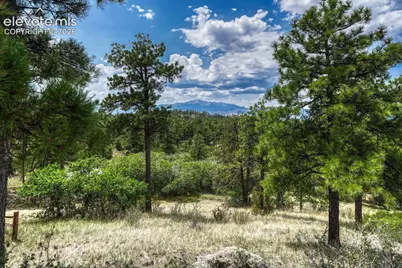 6435 Burgess Road, Colorado Springs, CO 80908 - Photo 9