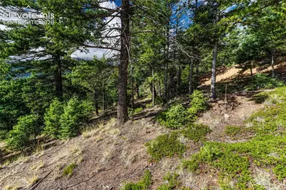 290 Earthsong Way, Manitou Springs, CO 80829 - Photo 41