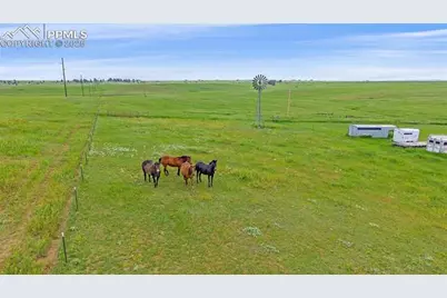 22624 County Road 5, Elbert, CO 80106 - Photo 41
