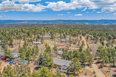 784 Blossom Road, Woodland Park, CO 80863 - Photo 41
