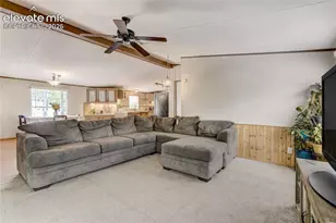 784 Blossom Rd, Woodland Park, CO 80863 - Photo 15