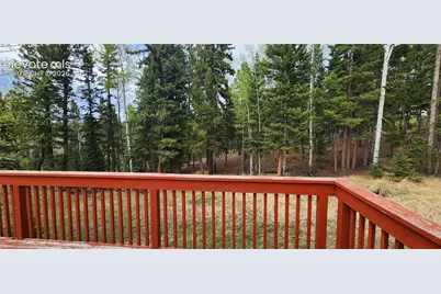 419 Donzi Trail, Florissant, CO 80816 - Photo 21